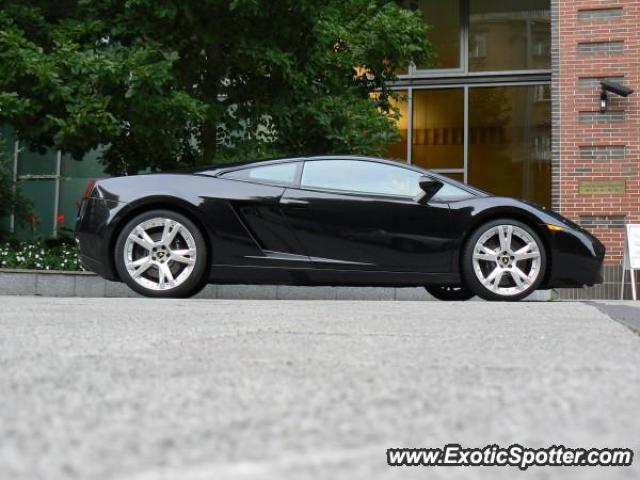 Lamborghini Gallardo spotted in Budapest, Hungary