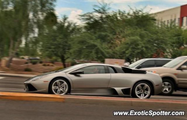 Lamborghini Murcielago spotted in Chandler, Arizona