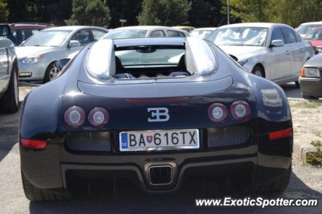 Bugatti Veyron spotted in Bratislava, Slovakia
