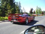 Saleen S7