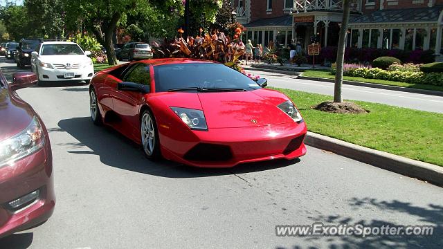 Lamborghini Murcielago spotted in NOTL,On, Canada
