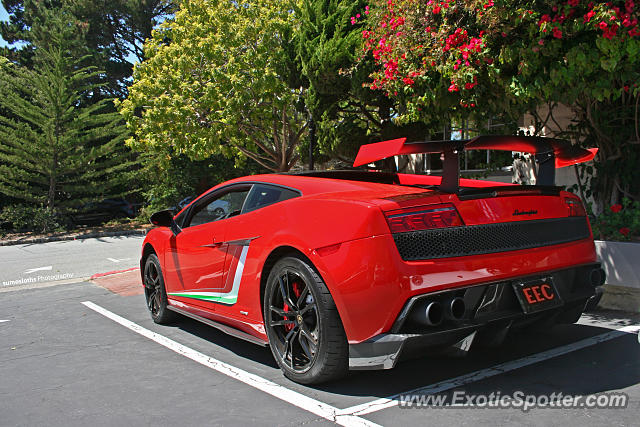 Lamborghini Gallardo spotted in Carmel, California