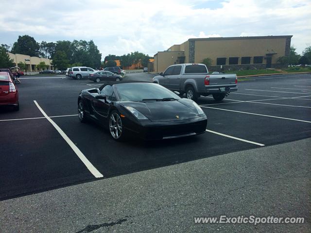 Lamborghini Gallardo spotted in Knoxville, Tennessee