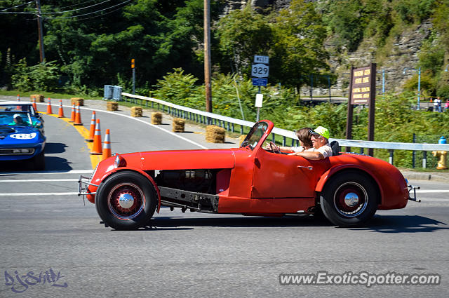 Other Unknown spotted in Watkins Glen, New York