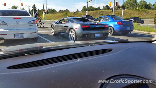 Lamborghini Gallardo spotted in Guelph, Canada