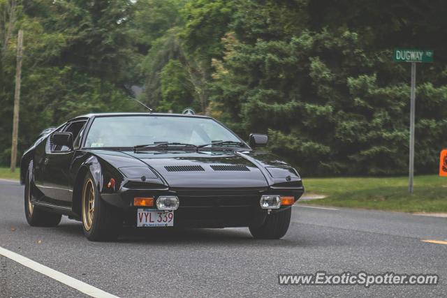 DeTomaso Pantera2 spotted in Lime Rock, Connecticut