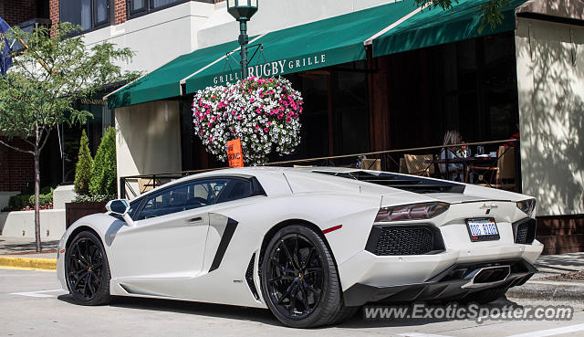 Lamborghini Aventador spotted in Birmingham, Michigan