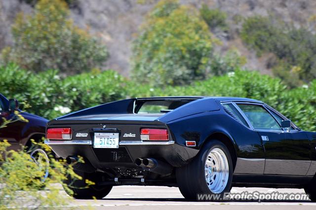 DeTomaso Pantera2 spotted in San Diego, California