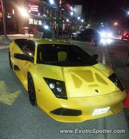 Lamborghini Murcielago spotted in Toronto, Canada