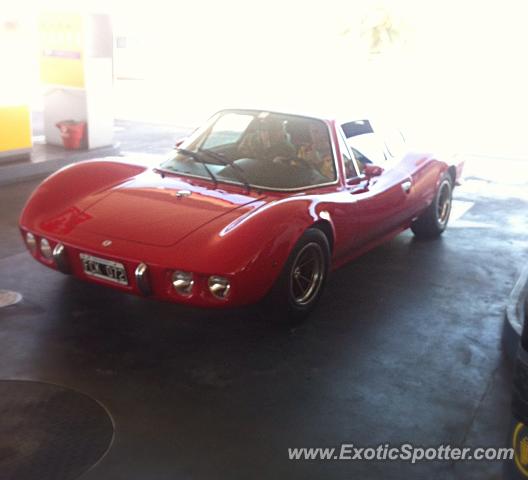 Other Unknown spotted in Pinamar, Argentina