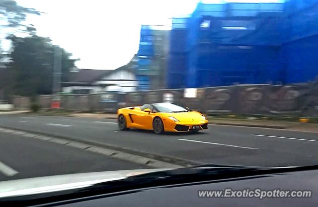Lamborghini Gallardo spotted in Sydney, Australia