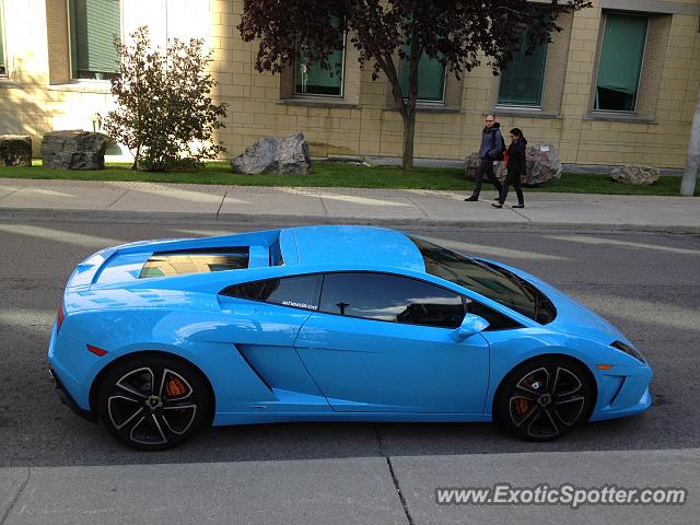 Lamborghini Gallardo spotted in Toronto, Canada