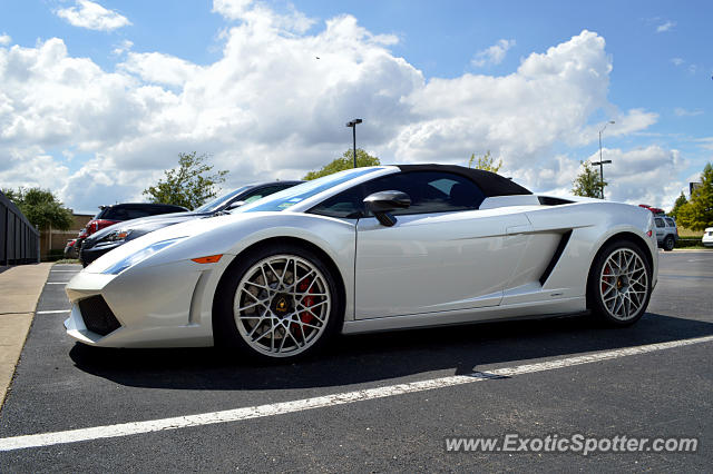 Lamborghini Gallardo spotted in Dallas, Texas