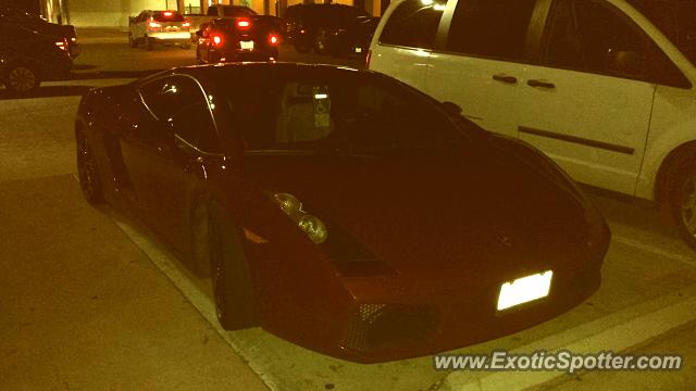 Lamborghini Gallardo spotted in Corpus Christi, Texas