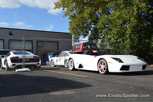 Lamborghini Murcielago spotted in Rochester, New York