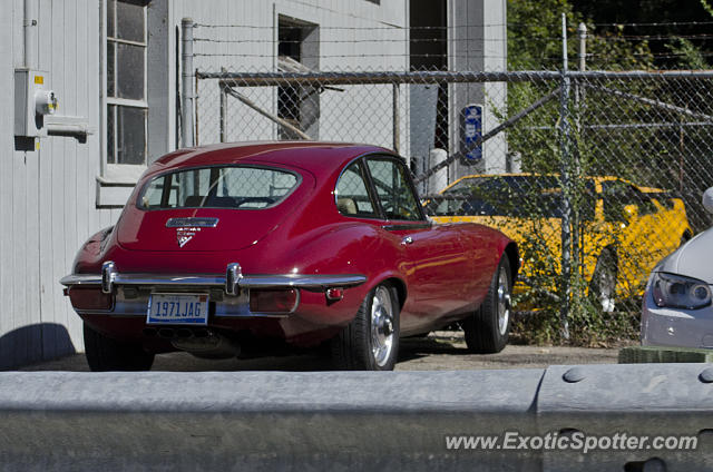 Jaguar E-Type spotted in Cascade, Michigan