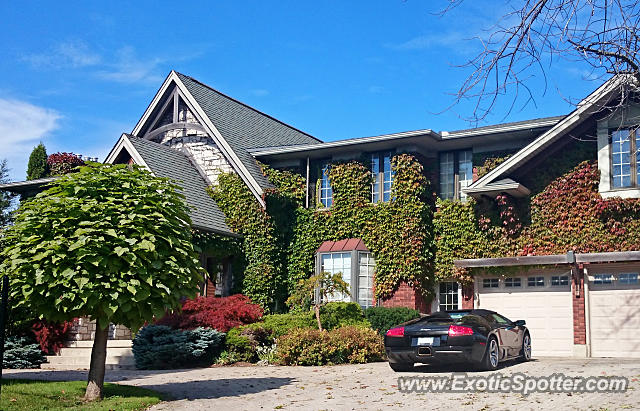 Lamborghini Murcielago spotted in London, Ontario, Canada