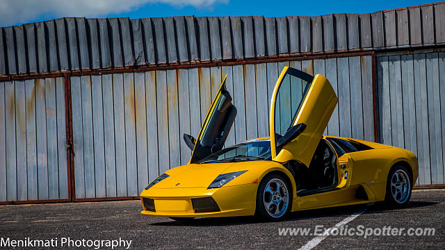 Lamborghini Murcielago spotted in Saldarna Bay, South Africa