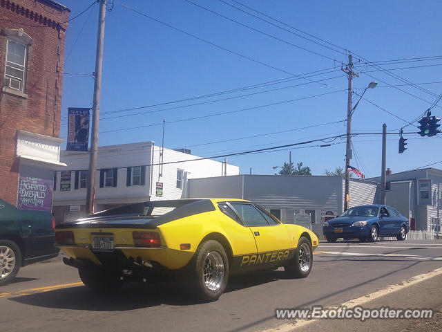 DeTomaso Pantera2 spotted in Williamson, New York