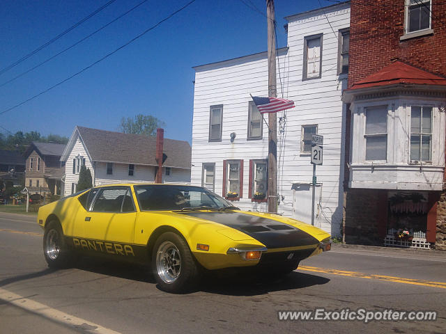DeTomaso Pantera2 spotted in Williamson, New York
