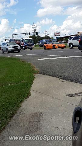 Lamborghini Gallardo spotted in Baton rouge, Louisiana