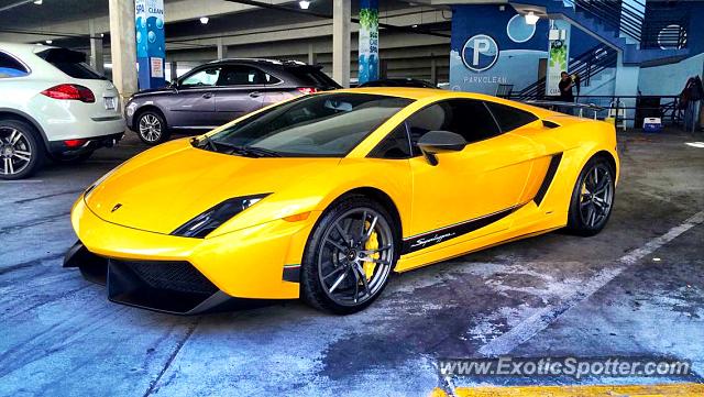 Lamborghini Gallardo spotted in Tyson's Corner, Virginia