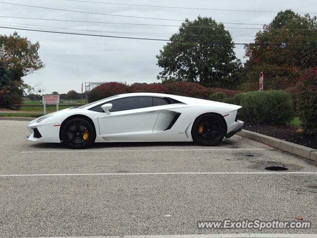 Lamborghini Aventador spotted in Mullica hill, New Jersey