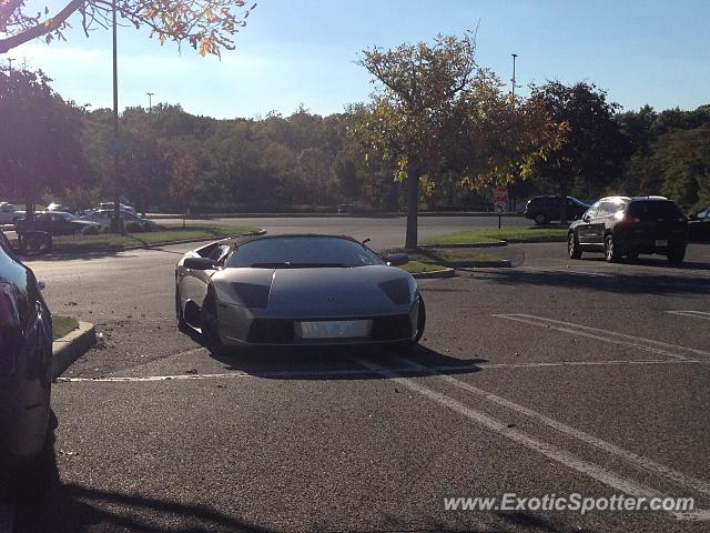 Lamborghini Murcielago spotted in Freehold, New Jersey