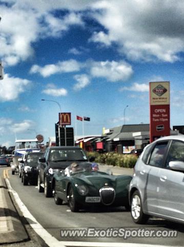 Other Unknown spotted in Blenheim, New Zealand