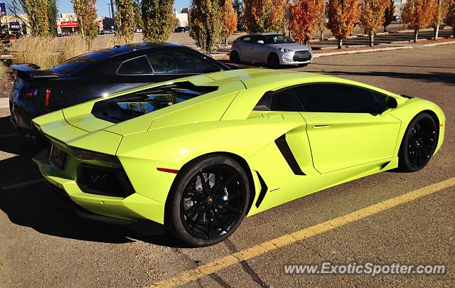 Lamborghini Aventador spotted in Edmonton, Canada