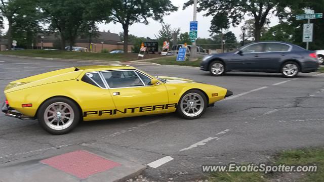 [http://www.exoticspotter.com/images/165/164811.jpg]