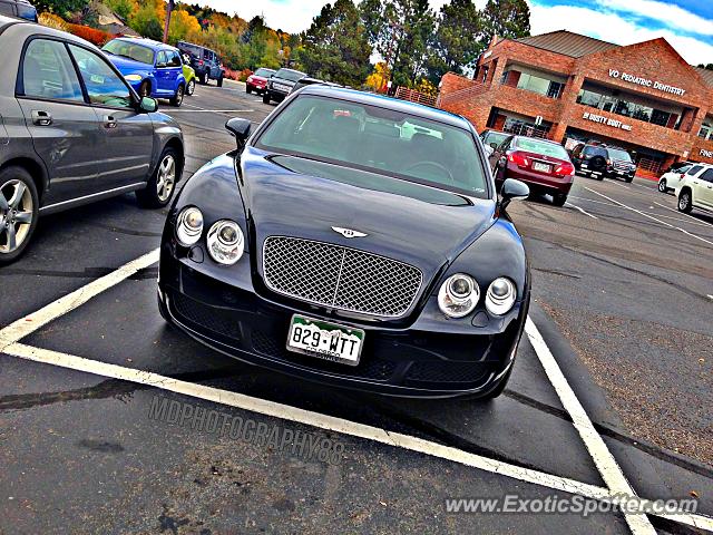 Bentley Continental spotted in Greenwood V, Colorado