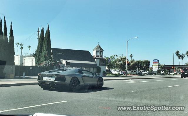 Lamborghini Aventador spotted in Newport Beach, California