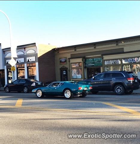 DeTomaso Pantera2 spotted in Brighton, Michigan
