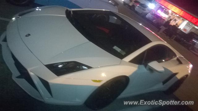 Lamborghini Gallardo spotted in Bloomington, Indiana