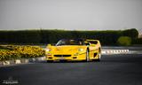 Ferrari F50