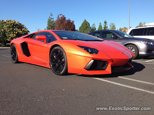Lamborghini Aventador spotted in Pleasanton, California