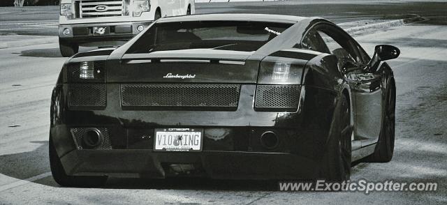Lamborghini Gallardo spotted in Jacksonville, Florida