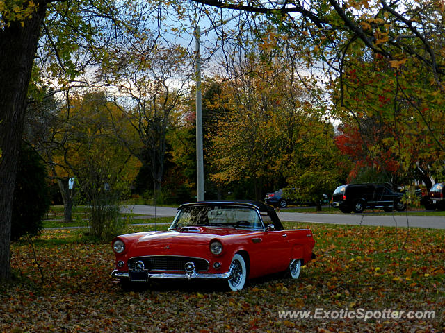 Other Vintage spotted in Windsor, Ontario, Canada