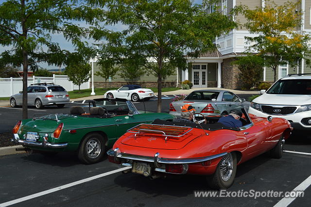 Jaguar E-Type spotted in Watkins Glen, New York