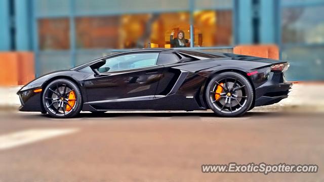 Lamborghini Aventador spotted in Cherry Creek, Colorado