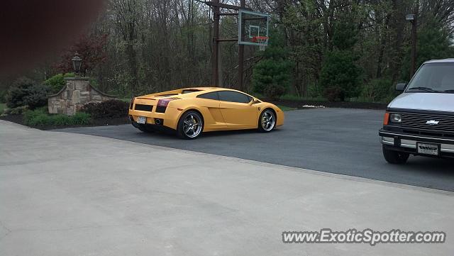 Lamborghini Gallardo spotted in Hershey, Pennsylvania