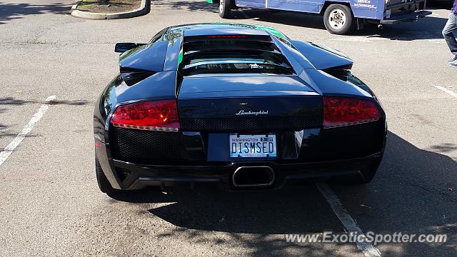 Lamborghini Murcielago spotted in Auburn, Washington