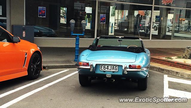 Jaguar E-Type spotted in Blenheim, New Zealand