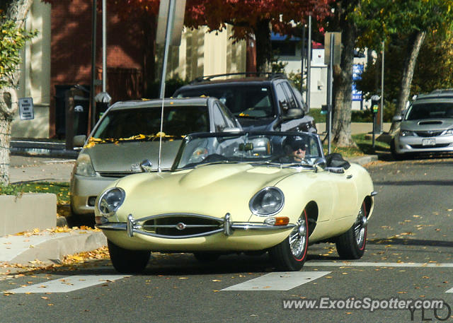 Jaguar E-Type spotted in Cherry Creek, Colorado