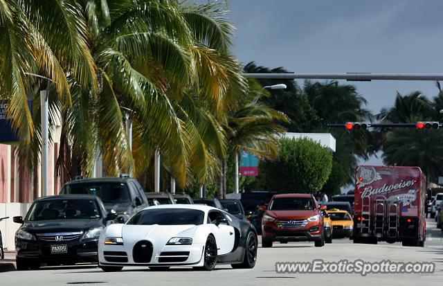 Bugatti Veyron spotted in Miami, Florida