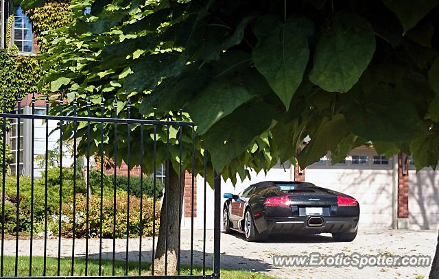 Lamborghini Murcielago spotted in London, Ontario, Canada