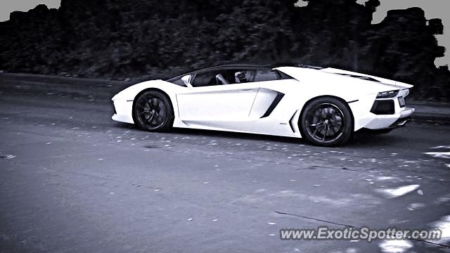 Lamborghini Aventador spotted in Houston, Texas