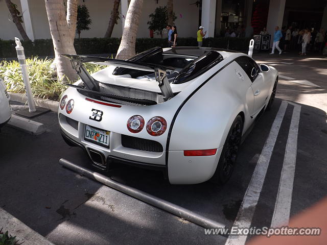 Bugatti Veyron spotted in Bal Harbour, Florida