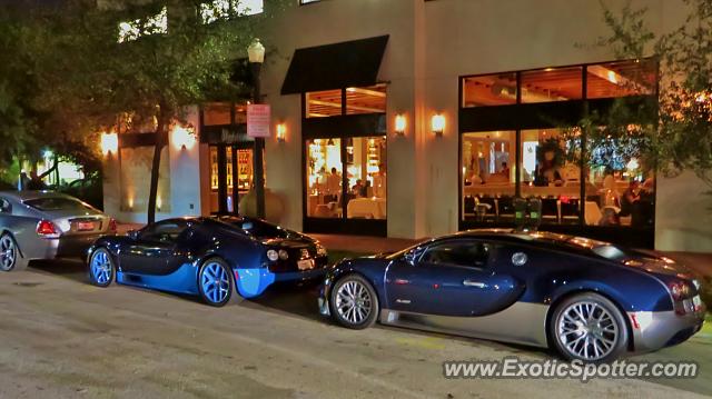 Bugatti Veyron spotted in Miami, Florida